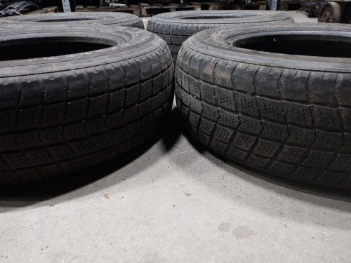 Комплект шин Roadstone Euro-Win 700 195/70 R15  (46023075075)