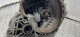 МКПП Opel Astra G (1998 - 2009) (46023072904)
